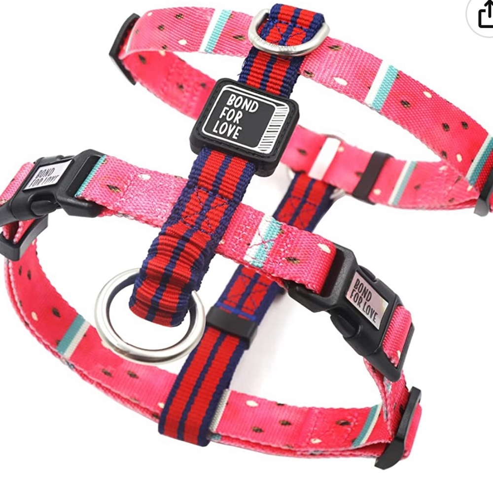 Red Small Dog Harness